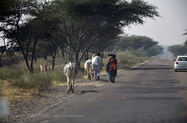 02 PKW-Reise_Mandawa-Bikaner_DSC2654_b_H600